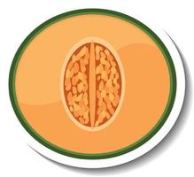 Chopped cantaloupe in cartoon style vector