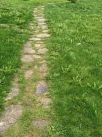 Stone path among green grass. photo