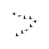 flock flying bird silhouette vector