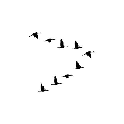 free bird clipart silhouette