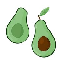 Set of fresh whole and half avocado isolated on white background. Organic food. Cartoon style. Vector illustration for design