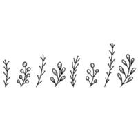 Floral elements in hand drawn doodle style. Plant branches linear illustration vector