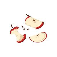 Red apple slices with seeds and stub. Sliced food for healthy diet. Sweet snack. Vector flat illustration