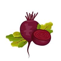 icono de remolacha roja. Verduras sanas enteras, mitad y hojas verdes de tapas. comida deliciosa para ensalada, sopa, borscht. ilustración plana vectorial vector