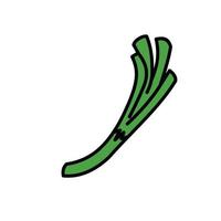 garlic leaves icon vector