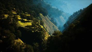 puesta de sol en la montaña con hierba verde y árboles video