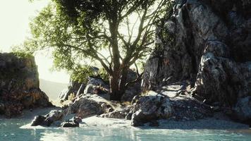 belle falaise de mer de montagne au bord de la mer avec arbre video