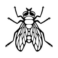 Fly insect. Outline silhouette. Design element. Vector illustration isolated on white background. Template for reppelent.