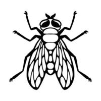 Fly insect. Outline silhouette. Design element. Vector illustration isolated on white background. Template for reppelent.