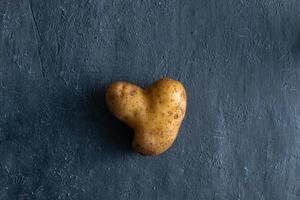 patata en forma de corazón sobre fondo oscuro. vegetal de una forma inusual foto