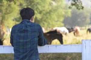 joven agricultor con caballos en pasto, paisaje campestre de verano. foto