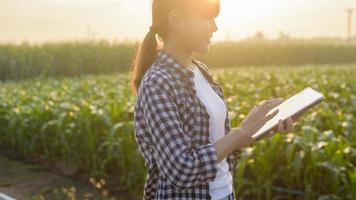 Young female smart farmer with tablet on field,High technology innovations and smart farming photo