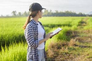 joven agricultora inteligente con tableta en el campo, innovaciones de alta tecnología y agricultura inteligente foto