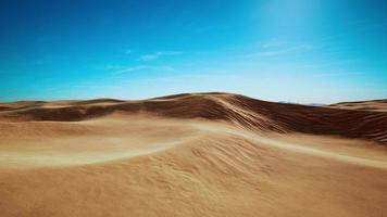 wide and wild landscape of the Arabic sand desert video