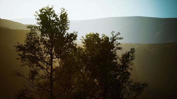 beaux rochers avec quelques arbres à la lumière du jour au népal video