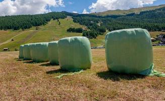 Bales of hay packed photo