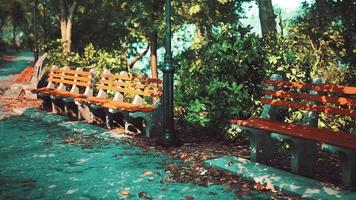 Empty benches in the park during the quarantine due to the pandemic COVID-19 video