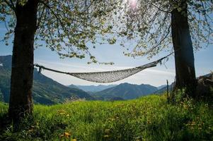 Relax in comfortable hammock suspended between the trees photo