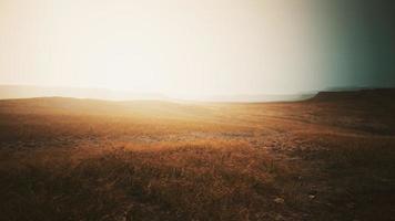 dry yellow grass on the rocky mountain with heavy fog video