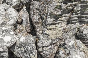 textura de roca en el parque nacional de table mountain ciudad del cabo. foto