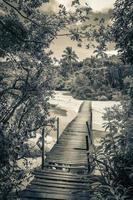 Mangrove and Pouso beach with bridge island Ilha Grande Brazil. photo