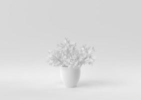 White Tree pot in white background. minimal concept idea creative. monochrome. 3D render. photo