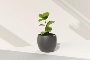 Tree pot in white background. minimal concept idea creative. 3D render. photo