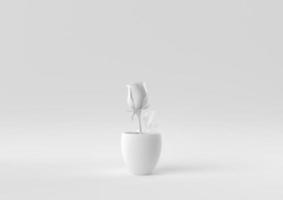 White Tree pot in white background. minimal concept idea creative. monochrome. 3D render. photo