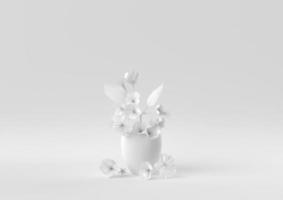 White Tree pot in white background. minimal concept idea creative. monochrome. 3D render. photo