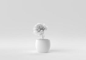 White Tree pot in white background. minimal concept idea creative. monochrome. 3D render. photo