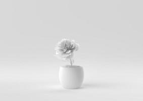 White Tree pot in white background. minimal concept idea creative. monochrome. 3D render. photo