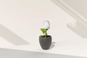 Tree pot in white background. minimal concept idea creative. 3D render. photo