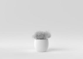 White Tree pot in white background. minimal concept idea creative. monochrome. 3D render. photo