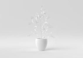 White Tree pot in white background. minimal concept idea creative. monochrome. 3D render. photo