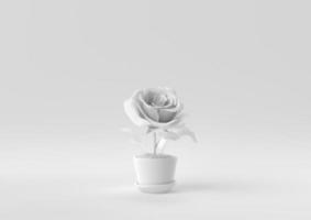 White Tree pot in white background. minimal concept idea creative. monochrome. 3D render. photo