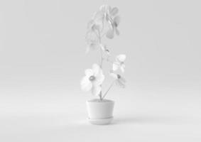 White Tree pot in white background. minimal concept idea creative. monochrome. 3D render. photo