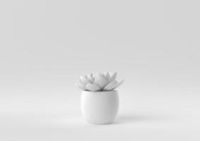 White Tree pot in white background. minimal concept idea creative. monochrome. 3D render. photo