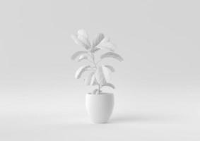 White Tree pot in white background. minimal concept idea creative. monochrome. 3D render. photo