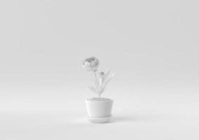 White Tree pot in white background. minimal concept idea creative. monochrome. 3D render. photo