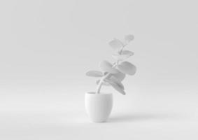 White Tree pot in white background. minimal concept idea creative. monochrome. 3D render. photo