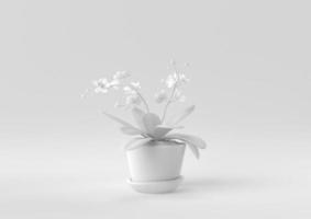 White Tree pot in white background. minimal concept idea creative. monochrome. 3D render. photo