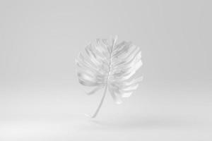 Tropical jungle Monstera leaves on white background. Paper minimal concept. 3D render. photo