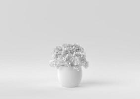 White Tree pot in white background. minimal concept idea creative. monochrome. 3D render. photo