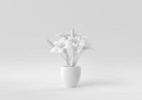 White Tree pot in white background. minimal concept idea creative. monochrome. 3D render. photo