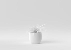 White Tree pot in white background. minimal concept idea creative. monochrome. 3D render. photo