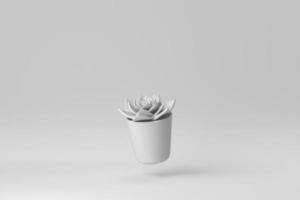 Indoor small plant in a pot on white background. minimal concept. 3D render. photo