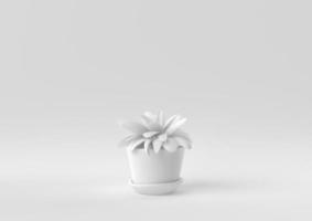 White Tree pot in white background. minimal concept idea creative. monochrome. 3D render. photo