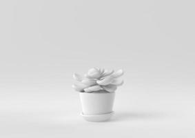 White Tree pot in white background. minimal concept idea creative. monochrome. 3D render. photo