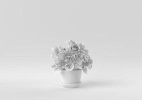 White Tree pot in white background. minimal concept idea creative. monochrome. 3D render. photo