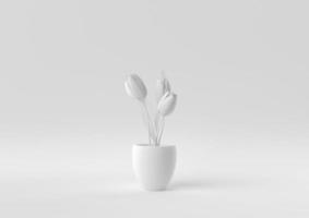 White Tree pot in white background. minimal concept idea creative. monochrome. 3D render. photo